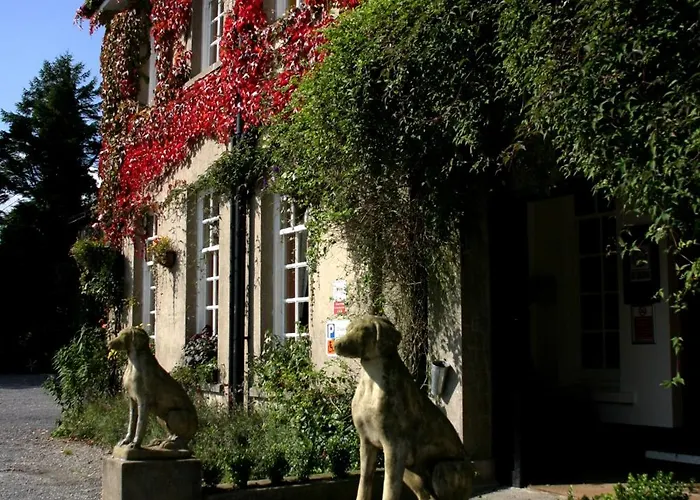 Ty Newydd Country Hotel