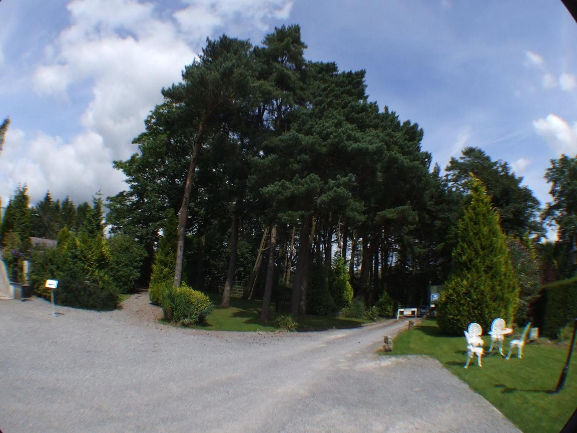Отель Ty Newydd Country 3*